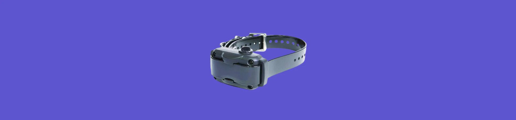 Shock Collar for Dogs - Effective Training Solutions - eDog UK