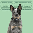 Houndware 2-in-1 Pro Anti-Bark & Remote Training Collar