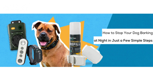Frequently Asked Questions of how to stop dog barking at night time