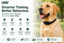 Barktec Pro Citronella Remote Training Collar with Refill