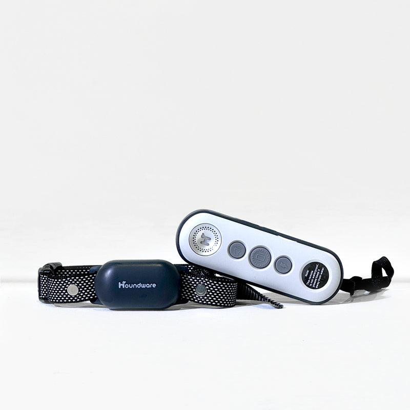 Shock Collar for Dogs - Effective Training Solutions | eDog UK Shock Collar for Dogs - Effective Training Solutions | eDog UK