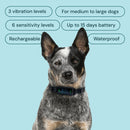 Houndware Advanced Shock Bark Control Collar For Stubborn, Medium to Large Dogs