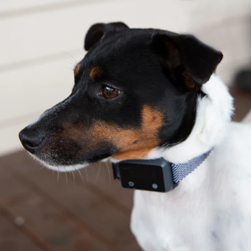 Anti Bark Collar - Houndware Multi-Functional Collar